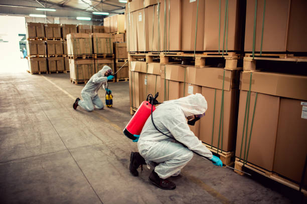 Best Bed Bug Extermination  in Cherry Hill, VA