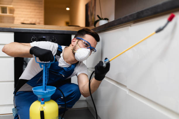 Reliable Cherry Hill, VA Pest Control Solutions