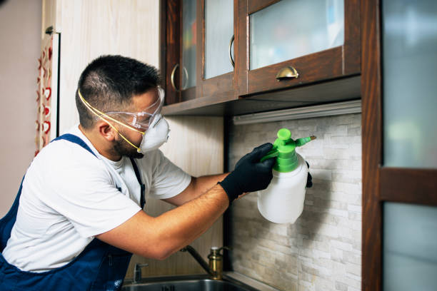 Best Rat Extermination Near Me  in Cherry Hill, VA