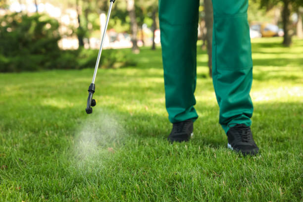 Best Flea Control Services  in Cherry Hill, VA