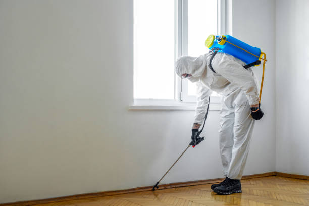 Best Local Pest Control Services  in Cherry Hill, VA