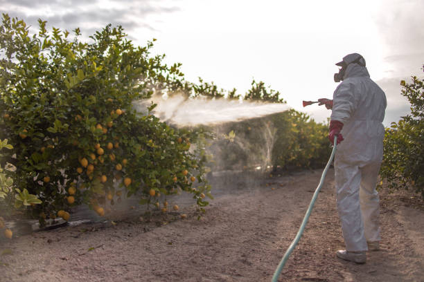 Best Cockroach Control Services  in Cherry Hill, VA