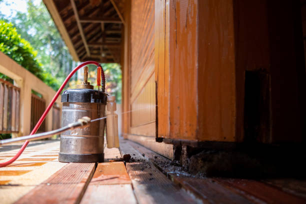 Best Pest Control for Businesses  in Cherry Hill, VA