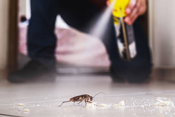 Pest Control Cost in Cherry Hill, VA