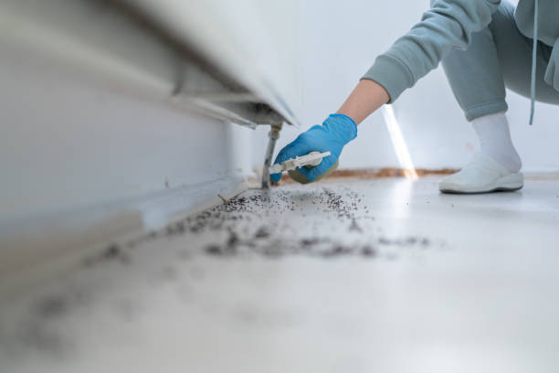 Best Insect Control  in Cherry Hill, VA