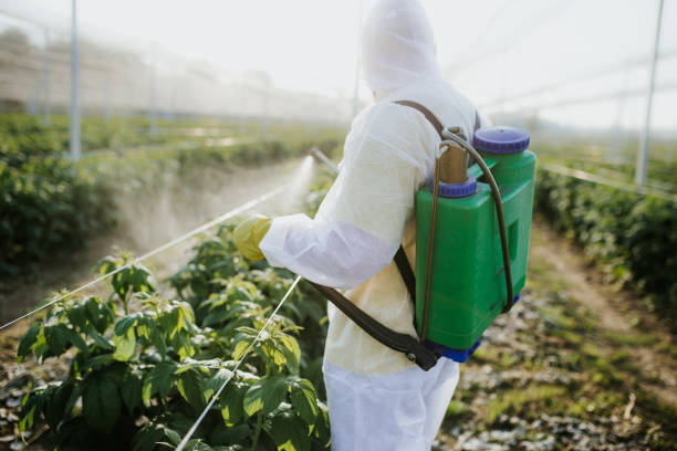 Best Wasp Removal Services  in Cherry Hill, VA